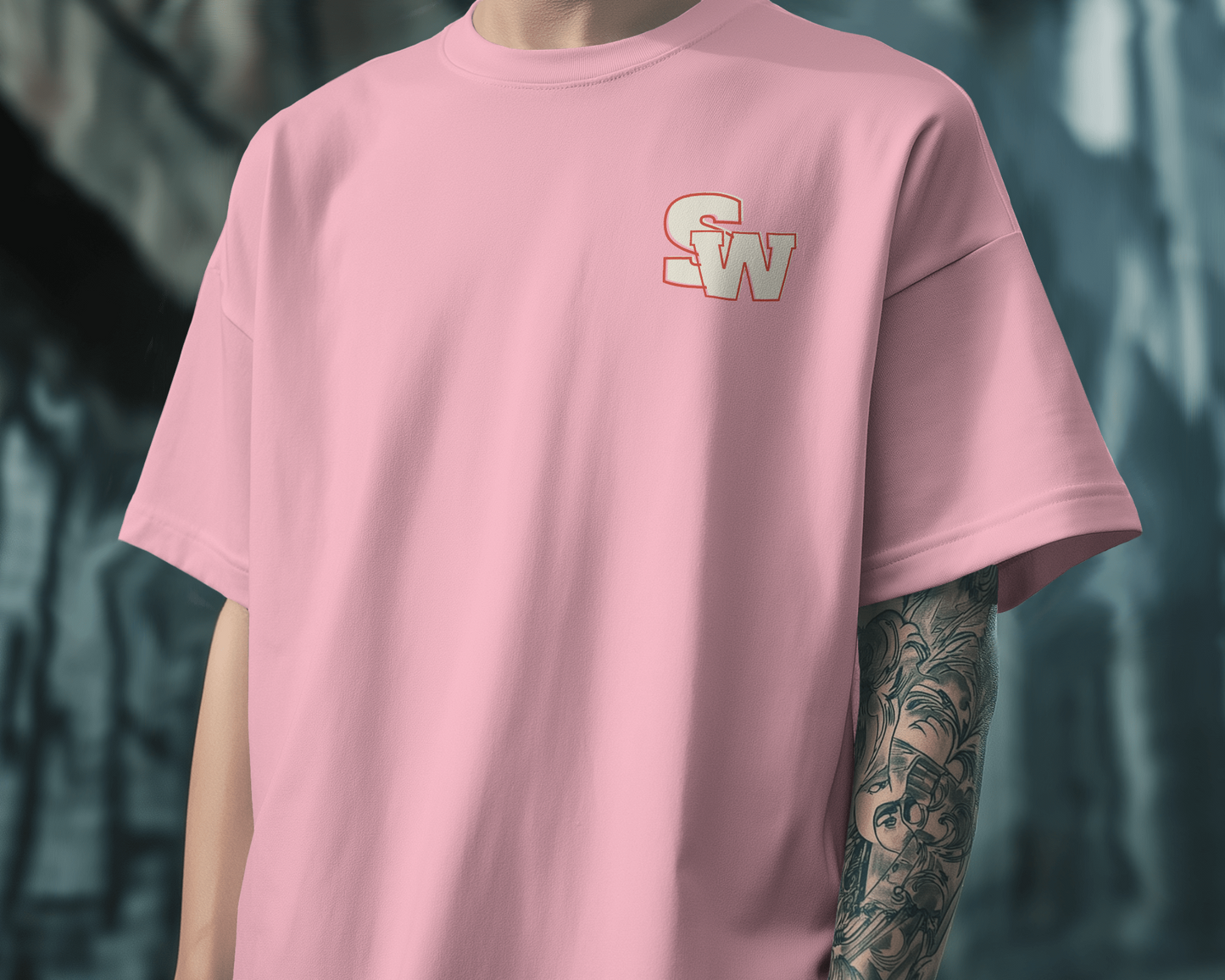 Oversized Unisex T-Shirts Dream Big