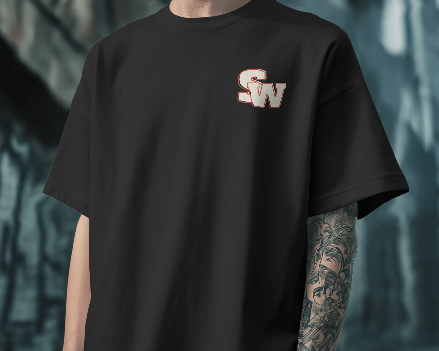 Oversized Unisex T-Shirts Dream Big
