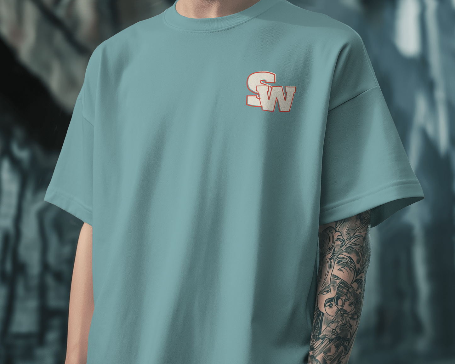 Oversized Unisex T-Shirts Dream Big