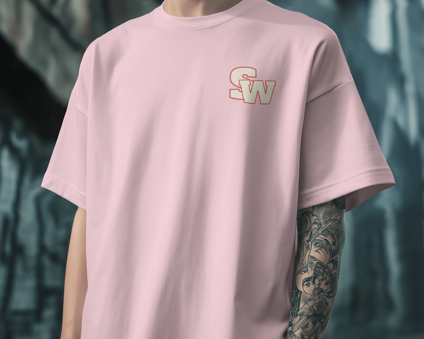 Oversized Unisex T-Shirts Dream Big